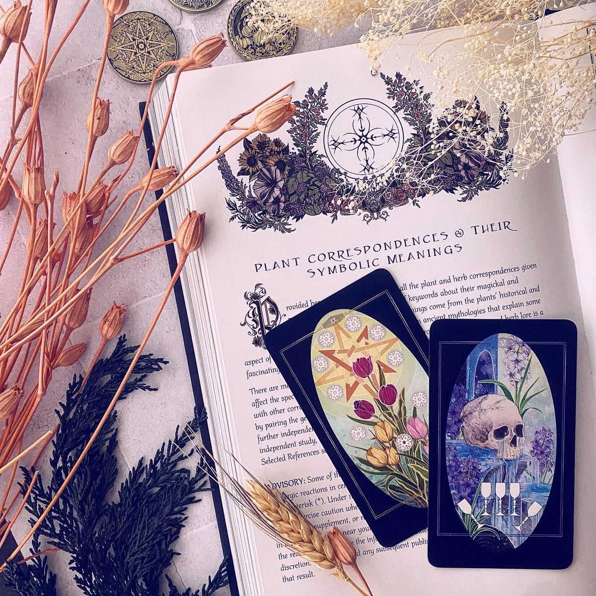 Children of Ostara Tarot Deck and Book (Black Edition)