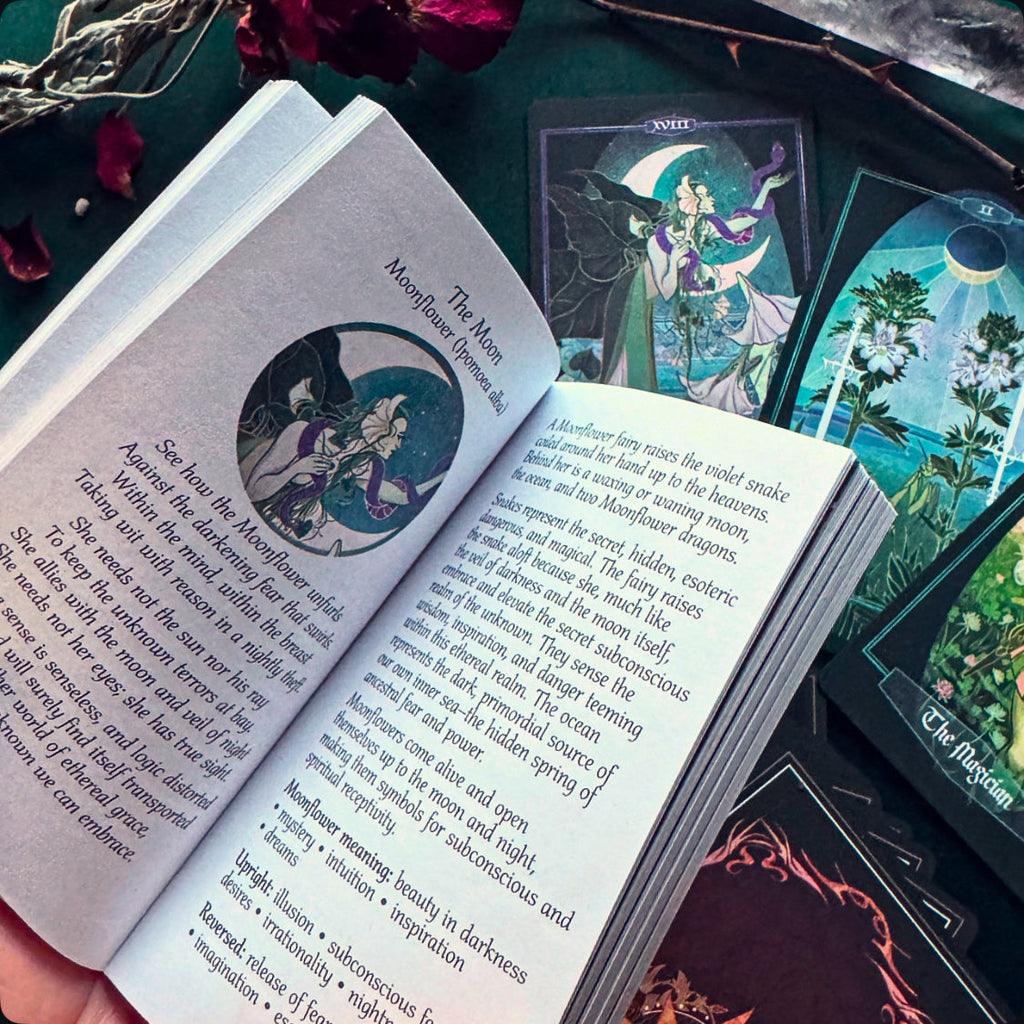 Children of Ostara Tarot Deck and Book (Black Edition)