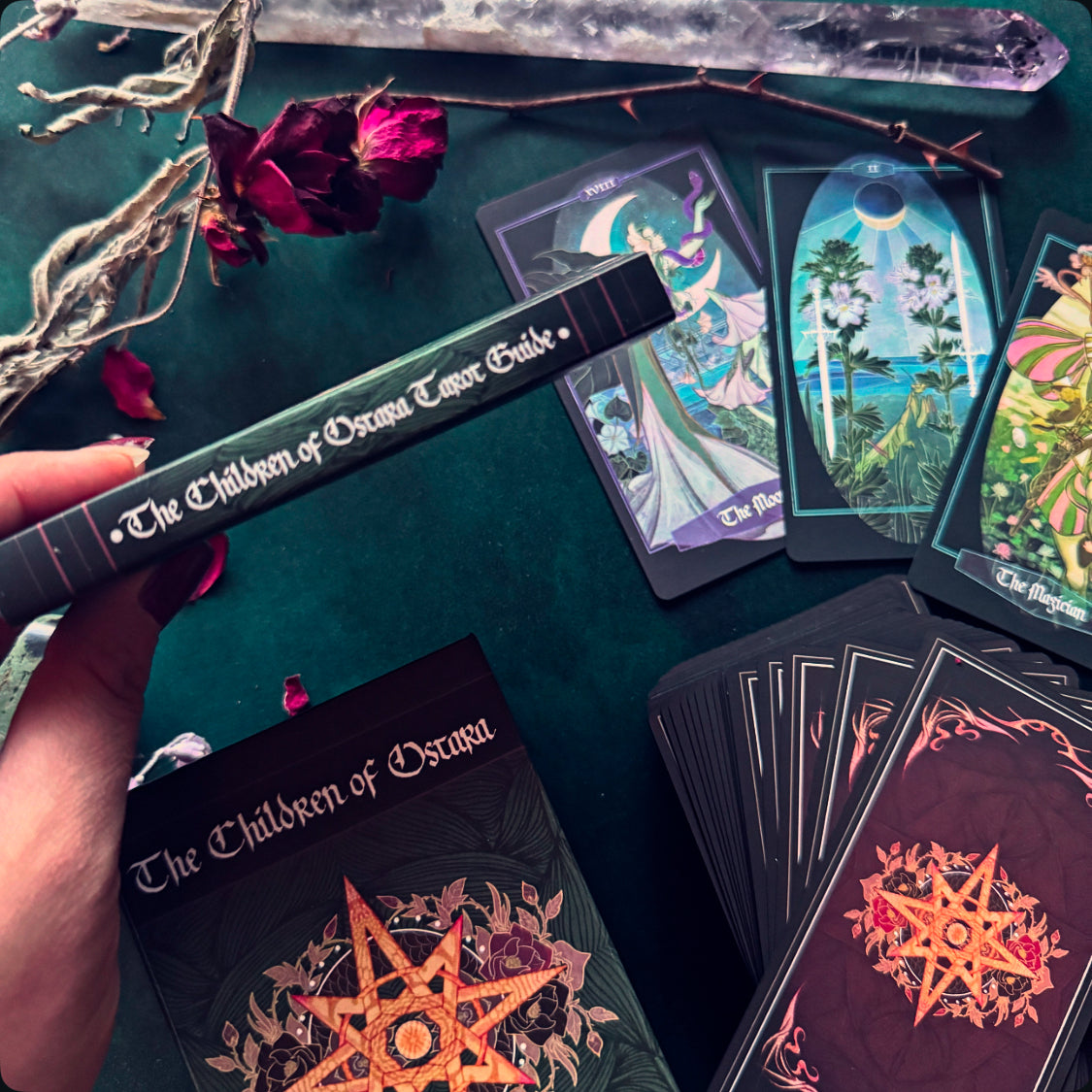 Children of Ostara Tarot Deck and Book (Black Edition)